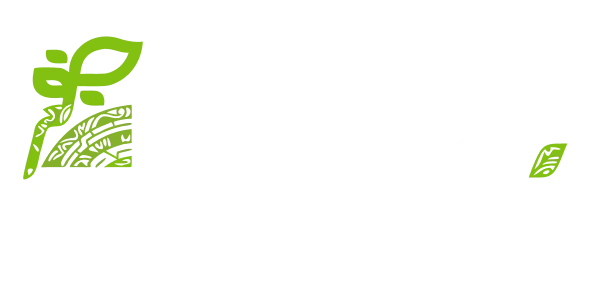BAM · Bioactivadores de México